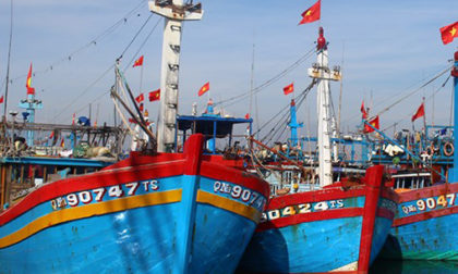 Bảo hiểm thân tàu cá 1