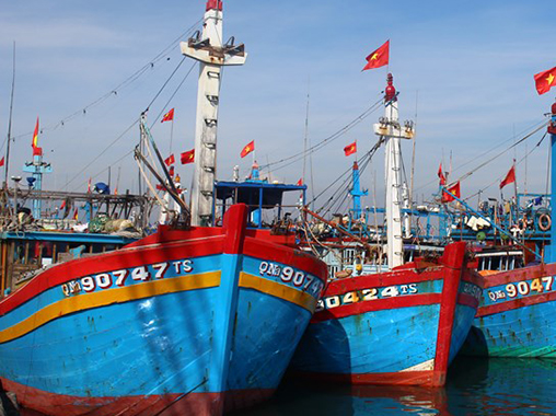 Bảo hiểm thân tàu cá
