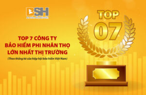 BSH top 7