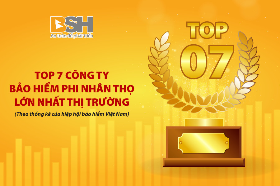 BSH top 7 1