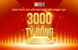 BSH-3000-TỶ (1)