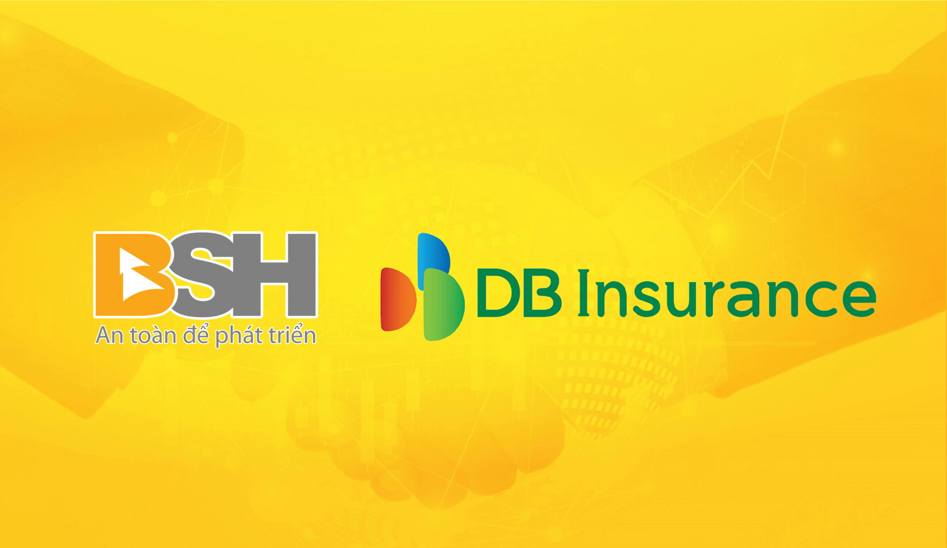 BSH DBI 01