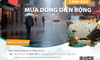 website Ngay 23 08